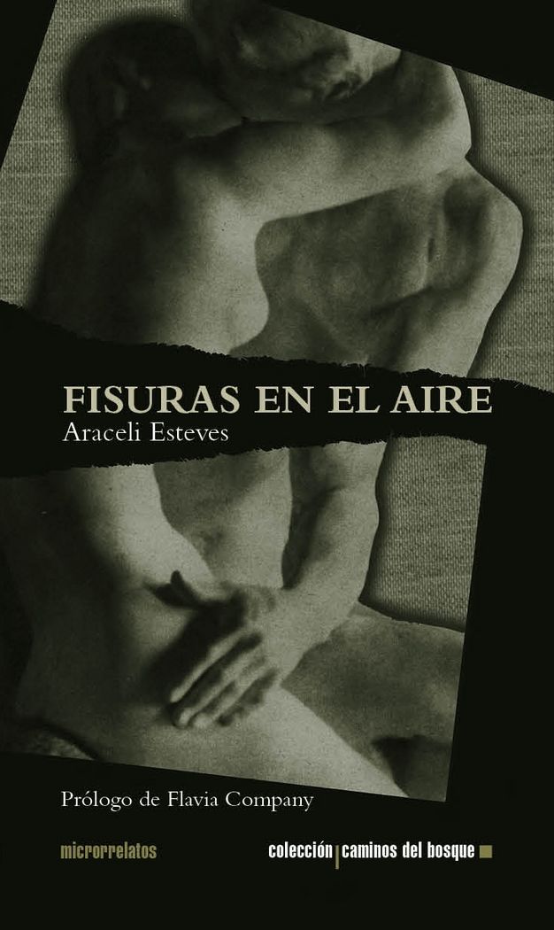 Fisuras en el Aire, de Esteves Castro | portada del libro