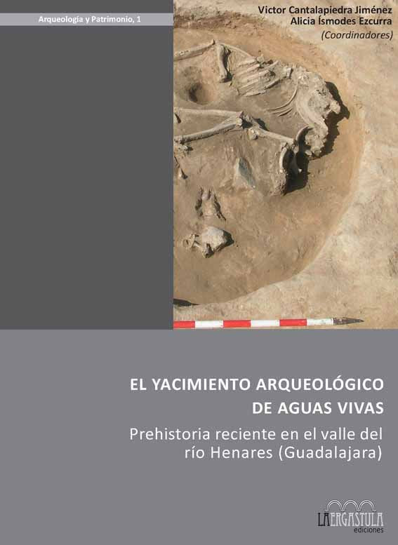 El yacimiento arqueológico de Aguas Vivas | portada del libro