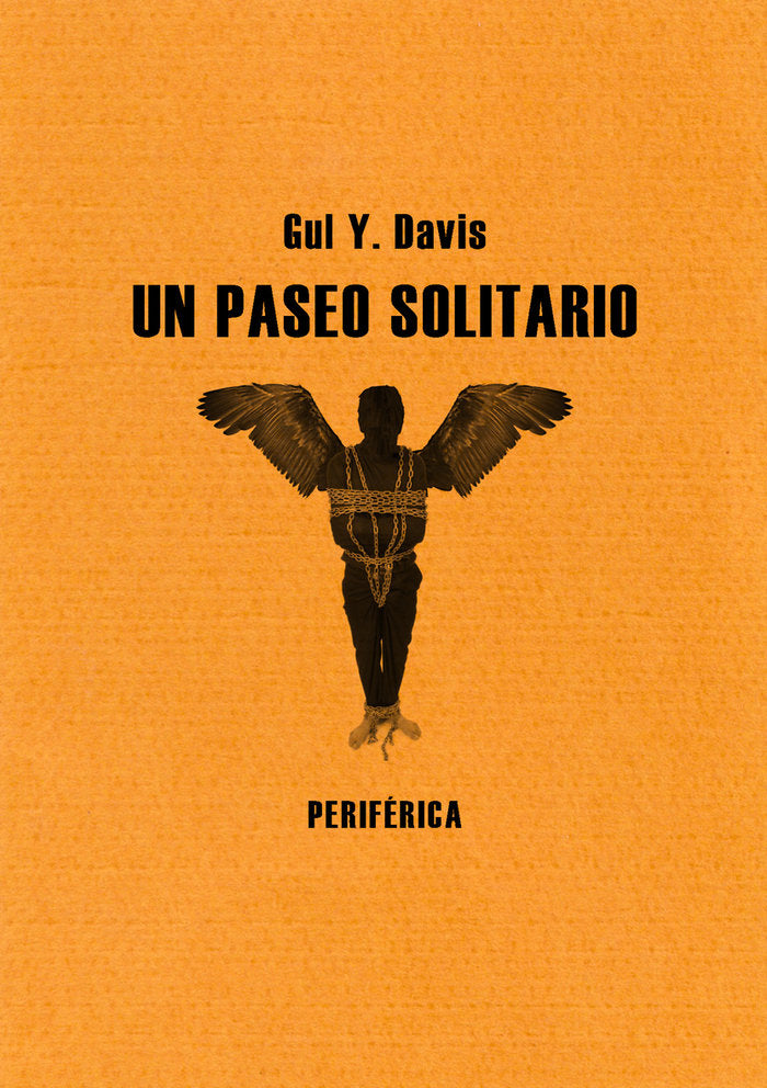Un paseo solitario, de Davis, Gul Y. | portada del libro