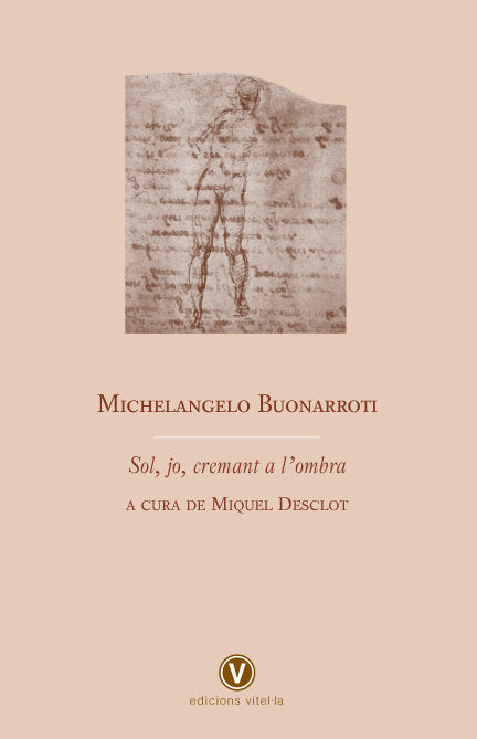 fol, jo, cremant a l'ombra. Michelangelo Buonarroti, de Miquel Desclot | portada del libro