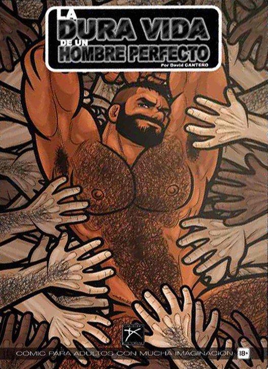 La dura vida de un hombre perfecto, de Cantero Berenguer | portada del libro