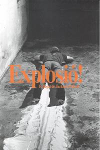 EXPLOSION EL LEGADO DE JACKSON POLLOCK, de A.A.V.V | portada del libro