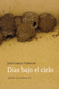 Días bajo el cielo, de Foronda, José Ignacio | portada del libro