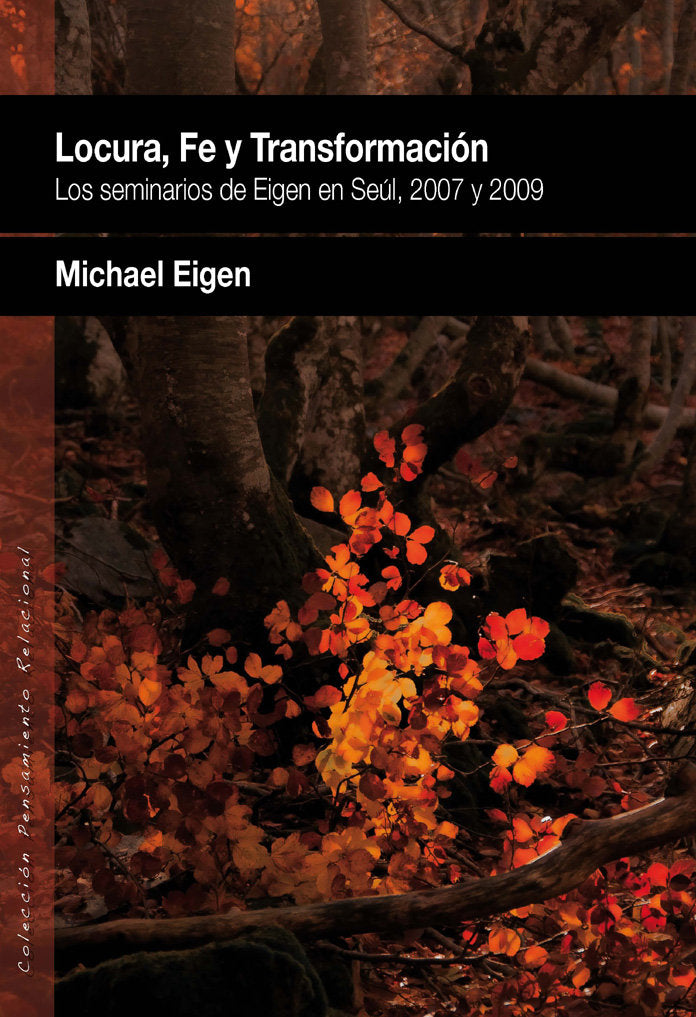 Locura, fe y transformación, de Eigen, Michael | portada del libro