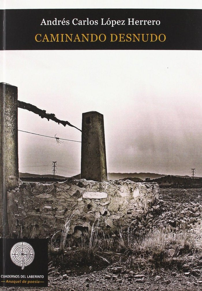 CAMINANDO DESNUDO, de LóPEZ HERRERO | portada del libro
