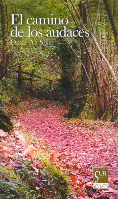 CAMINO DE LOS AUDACES, EL, de ALI-SHAH, OMAR | portada del libro