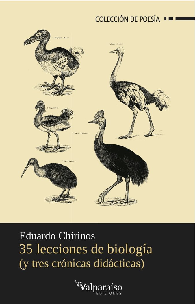 35 lecciones de biología (y tres crónicas didácticas), de Chirinos Arrieta, Eduardo | portada del libro