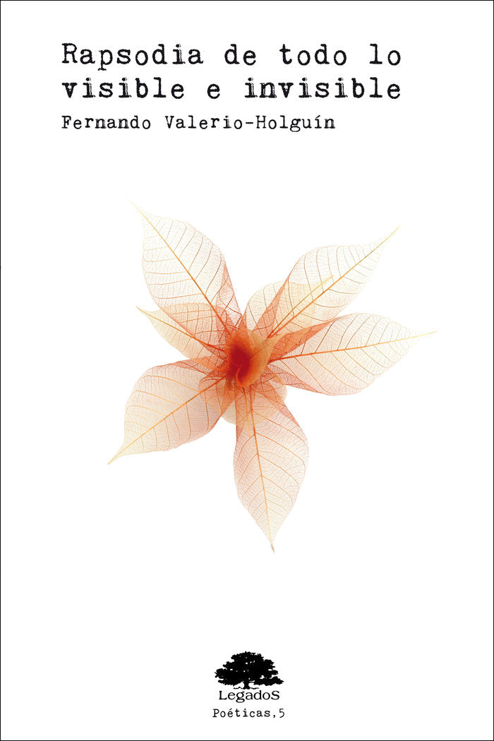 Rapsodia de todo lo visible e invisible, de VALERIO-HOLGUÍN, FERNANDO | portada del libro