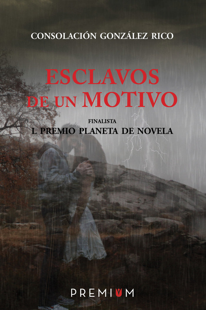 Esclavos de un motivo, de González Rico, Consolación | portada del libro