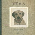 TEBA, de BERNARDO LODARES | portada del libro