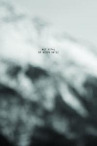 Not Vital by Aitor Ortiz, de Vital, Not | portada del libro