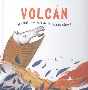 Volcán, el caballo salvaje de la Isla de Sálvora, de Carballeira Cabana | portada del libro