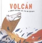 Volcán, o cabalo salvaxe da Illa de Sálvora, de PAULA CARBALLEIRA | portada del libro