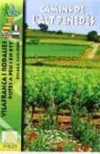 Camins de l'Alt Penedès, de Varios autores | portada del libro