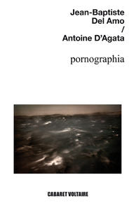 Pornographia, de Del Amo, Jean-Baptiste | portada del libro