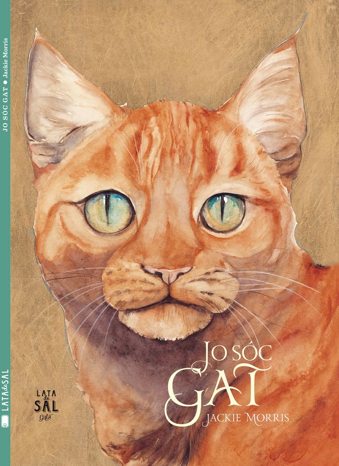 Jo sóc Gat, de Jackie Morris | portada del libro