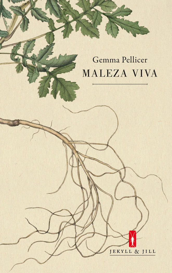 MALEZA VIVA, de PELLICER, GEMMA | portada del libro