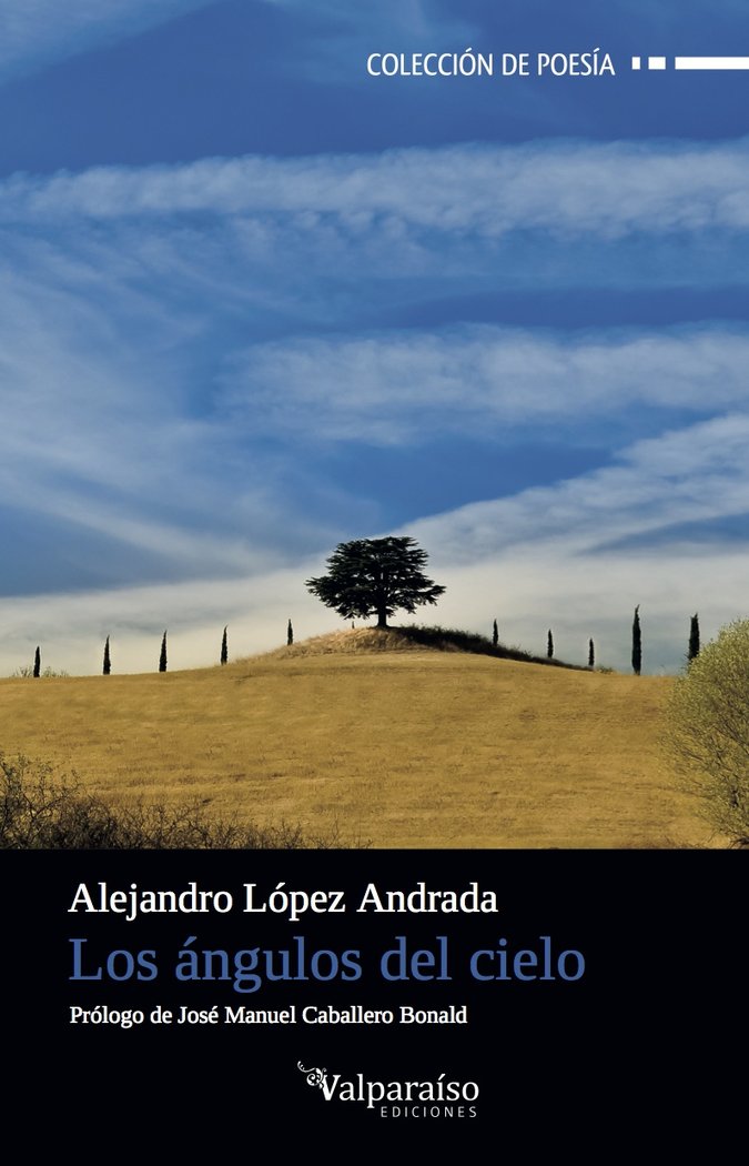 Los ángulos del cielo, de López Andrada, Alejandro | portada del libro