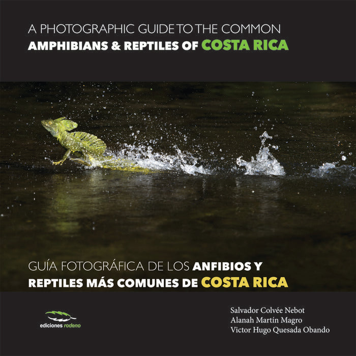 A photographic guide of the common ammphibians & reptiles of Costa Roca / Guía fotográfica de los an, de Colvée Nebot, Salvad