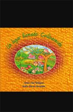 UN LUGAR LLAMADO COLINAVERDE, de VANESA DIEZ RODRIGUEZ | portada del libro