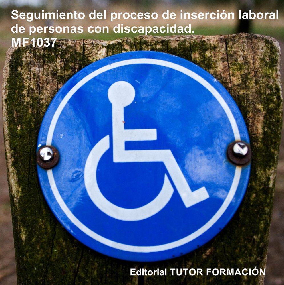 SEGUIMIENTO DEL PROCESO DE INSERCION SOCIOLABORAL DE PERSONA, de PEREZ URQUIA, REYES | portada del libro