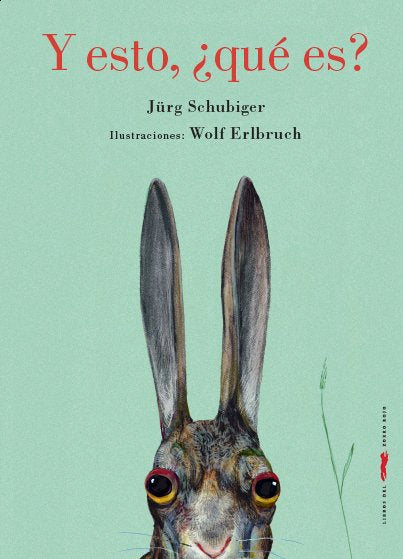 Y, ¿esto qué es?, de Jürg Schubiger | portada del libro