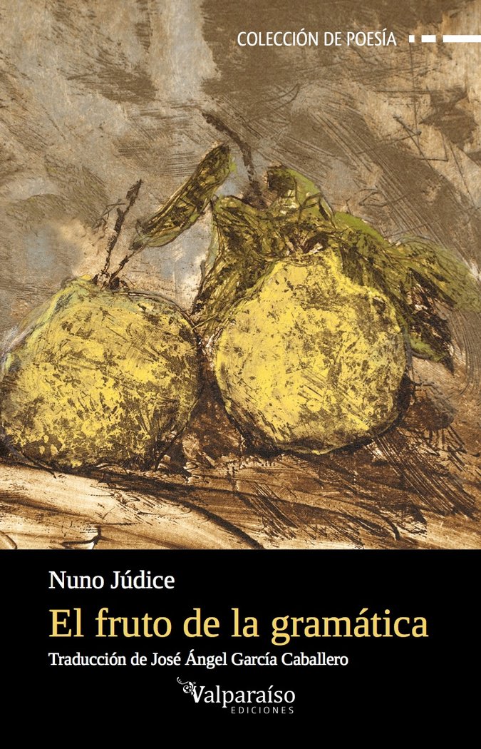 El fruto de la gramática, de Nuno Júdice | portada del libro