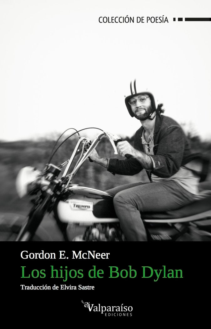 Los hijos de Bob Dylan, de McNeer, Gordon Evans | portada del libro