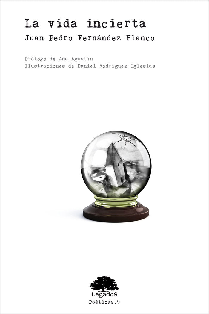 La vida incierta, de FERNÁNDEZ BLANCO, JUAN PEDRO | portada del libro