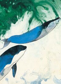 LIBRETA BALLENAS DE LA CREACION, de MIGUEL CARINI CAPALBO | portada del libro