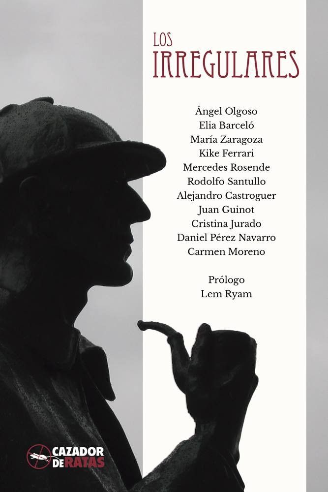 Los Irregulares, de Varios autores | portada del libro