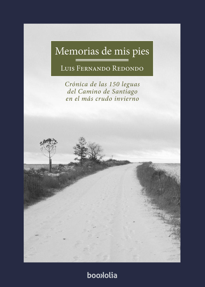 Memorias de mis pies, de Redondo Amador, Luis Fernando | portada del libro