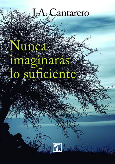 Nunca imaginarás lo suficiente, de Cantarero Bandrés | portada del libro