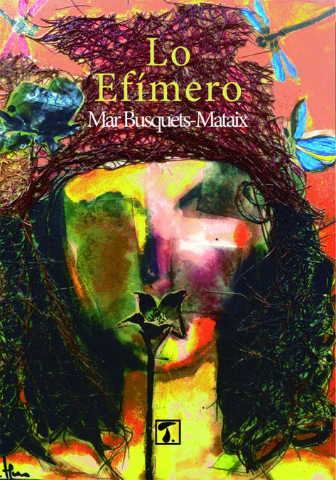 Lo efímero, de Busquets Mataix | portada del libro