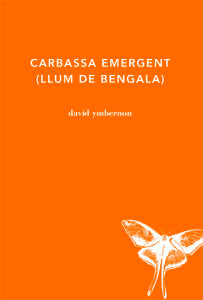 Carbassa emergent, de Ymbernon Grau, David | portada del libro