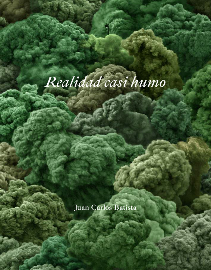REALIDAD CASI HUMO, de Alonso Molina, Ã“scar (texto) | portada del libro