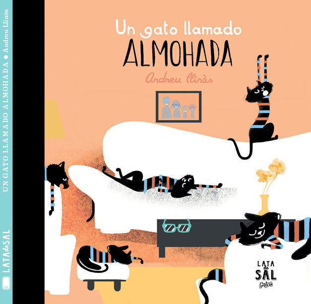 UN GATO LLAMADO ALMOHADA, de LLINÁS DURÁN, ADREU | portada del libro