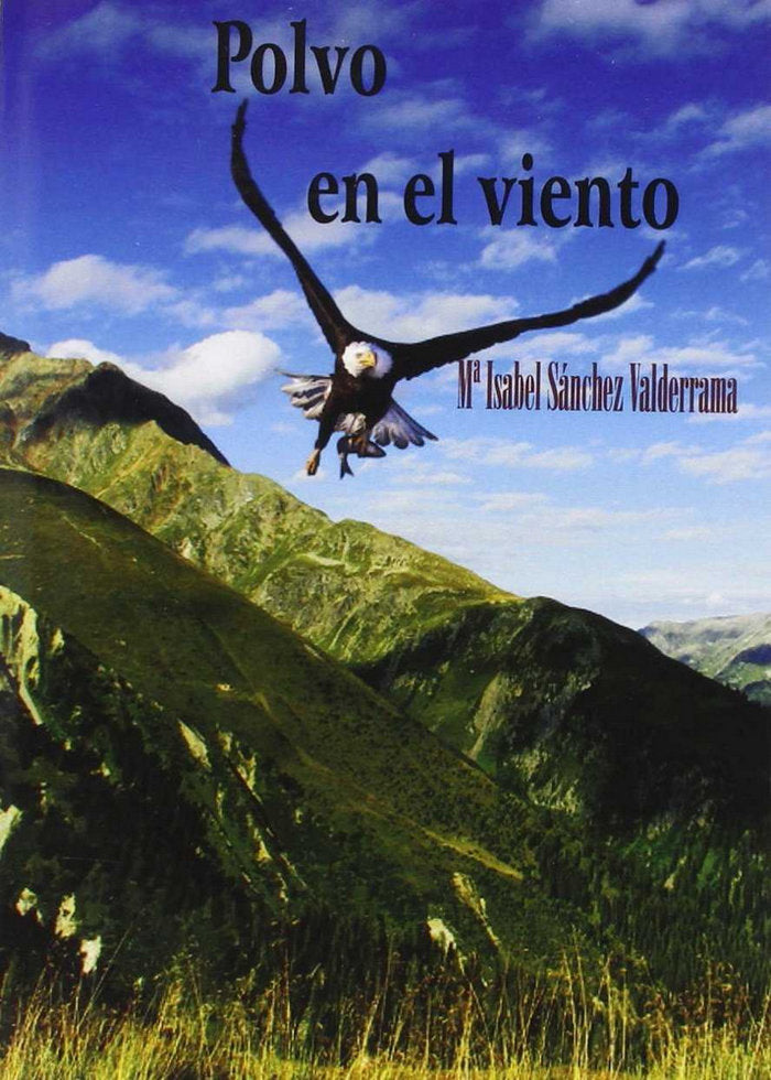 Polvo en el viento, de Sánchez Valderrama | portada del libro