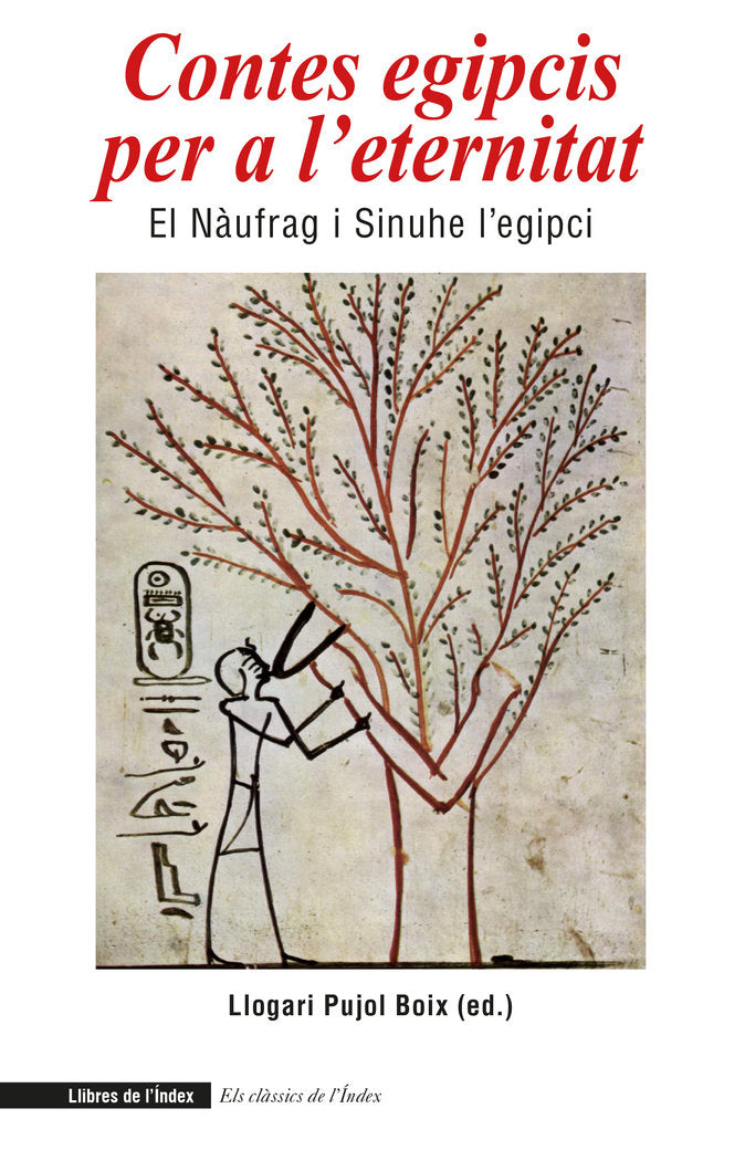 Contes egipcis per a l'eternitat, de Pujol i Boix, Llogari | portada del libro
