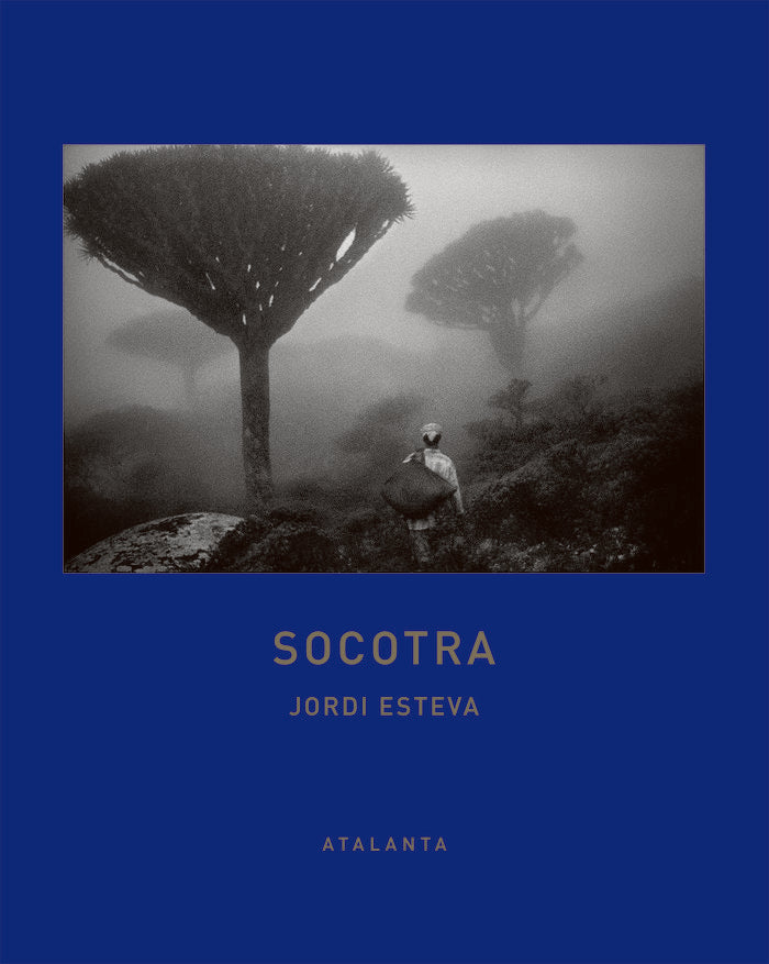 Socotra, de Esteva, Jordi | portada del libro