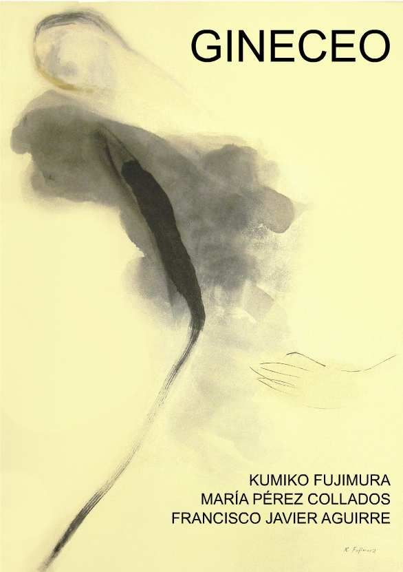 GINECEO, de V.V.A.A | portada del libro