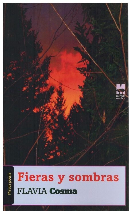 Fieras y Sombras, de FLAVIA COSMA | portada del libro