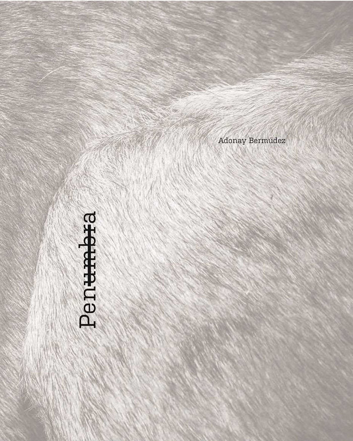 Penumbra, de Bermúdez Tejera | portada del libro