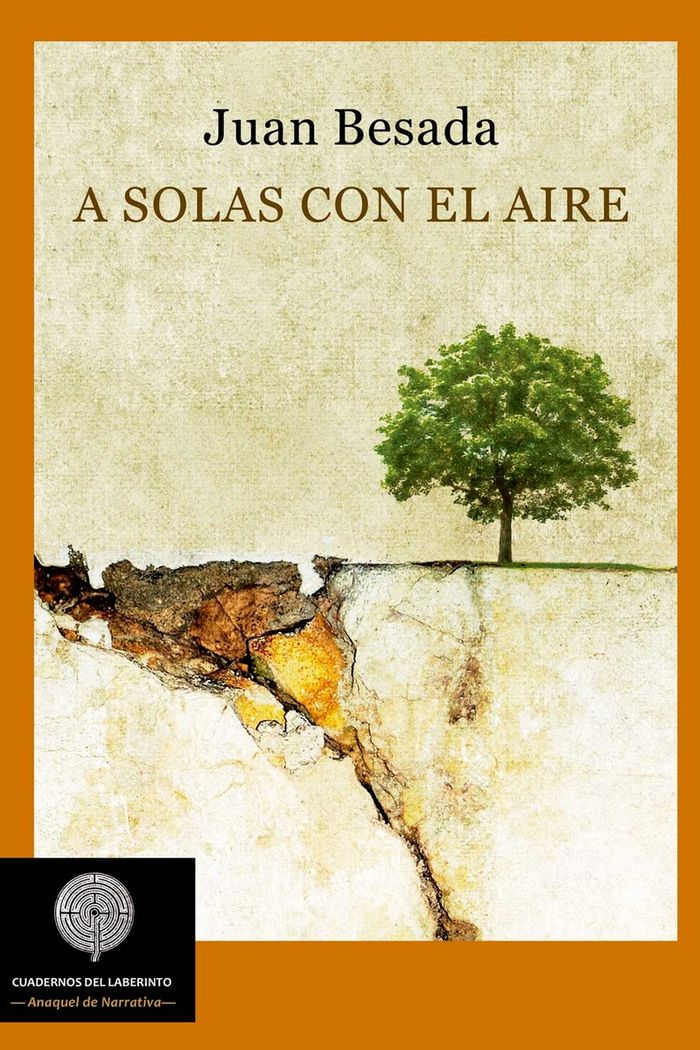 A solas con el aire, de Besada Gesto, Juan | portada del libro