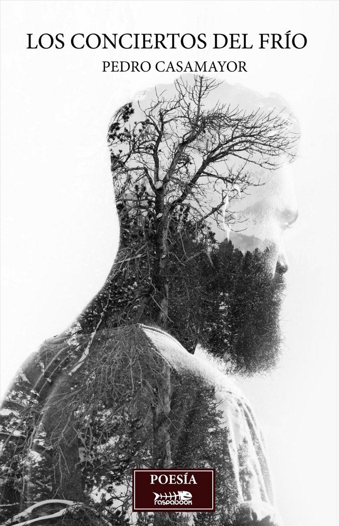 Los conciertos del frio, de Casamayor Rivas, Pedro | portada del libro
