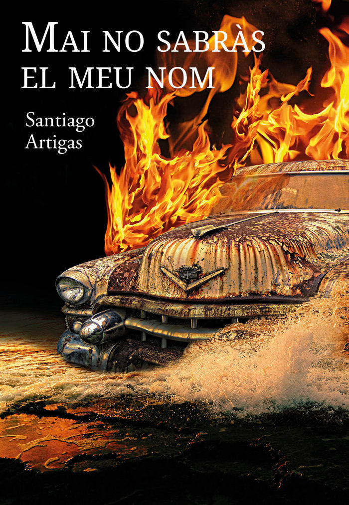 Mai no sabràs el meu nom, de Artigas Martínez-Marí, Santiago | portada del libro