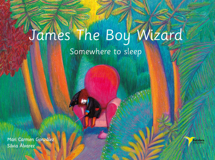James The Boy Wizard, de González Sánchez, Mari Carmen | portada del libro