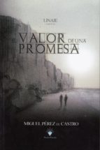 VALOR DE UNA PROMESA, EL, de MIGUEL PEREZ DE CASTRO | portada del libro