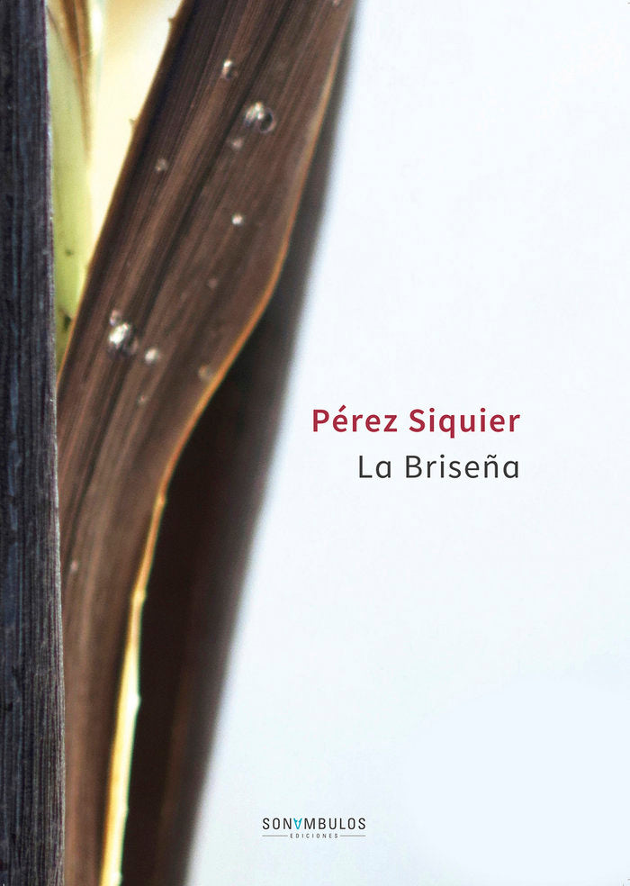 La Briseña, de Pérez Siquier, Carlos | portada del libro