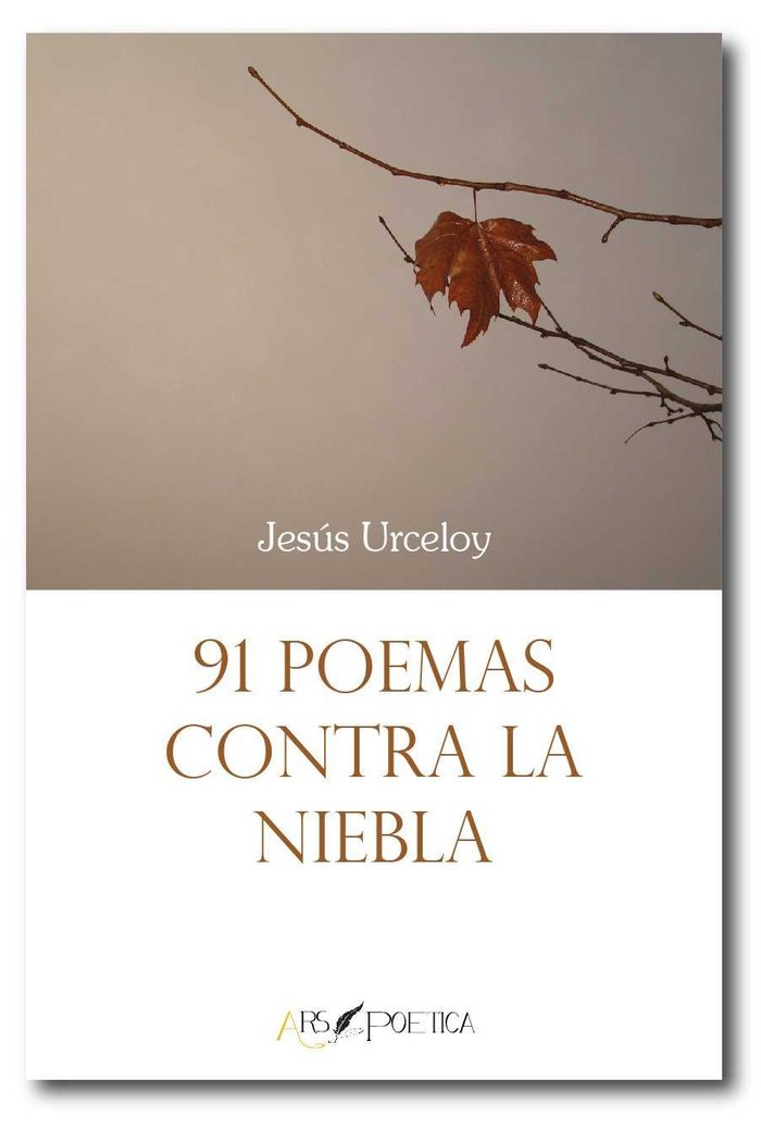 91 poemas contra la niebla | portada del libro